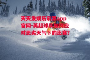 天天发娱乐彩票app官网-英超球队如何应对恶劣天气下的比赛？